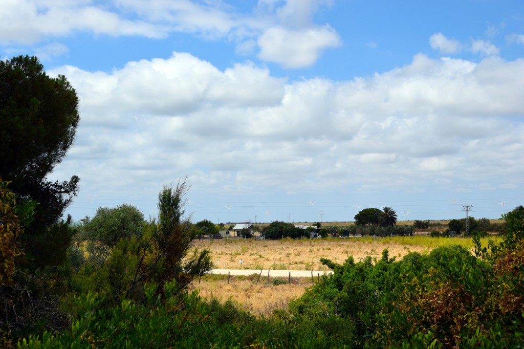 Foto de La Algaida (Cádiz), España