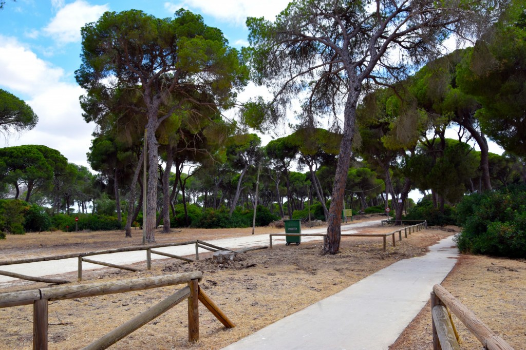 Foto de La Algaida (Cádiz), España