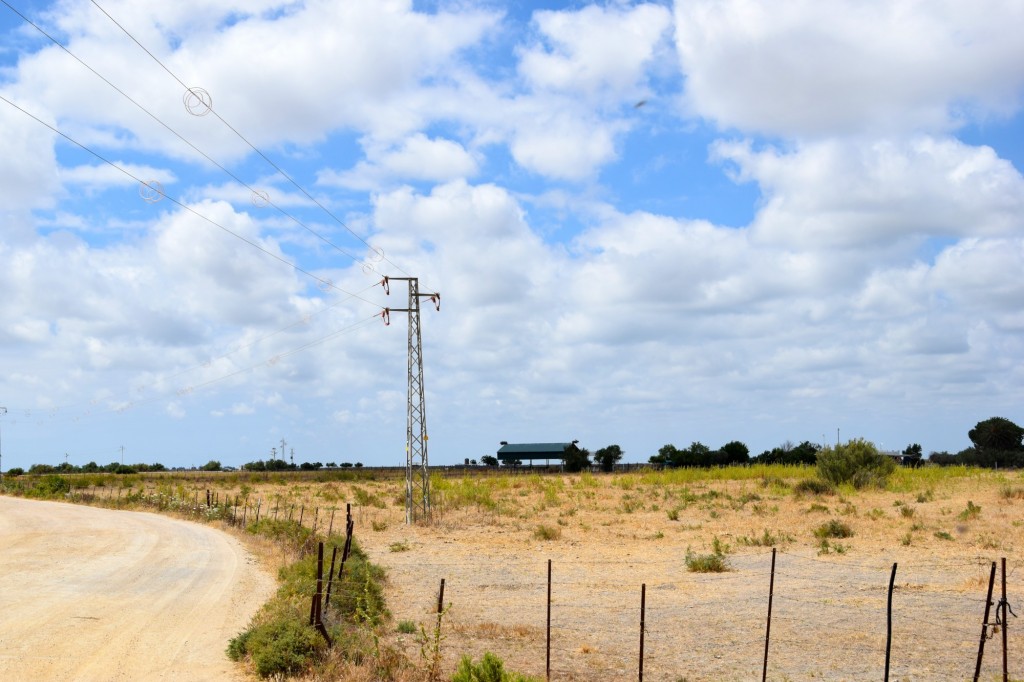 Foto de La Algaida (Cádiz), España