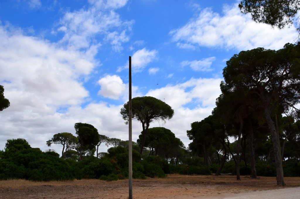 Foto de La Algaida (Cádiz), España
