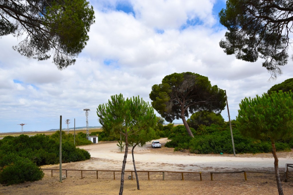 Foto de La Algaida (Cádiz), España