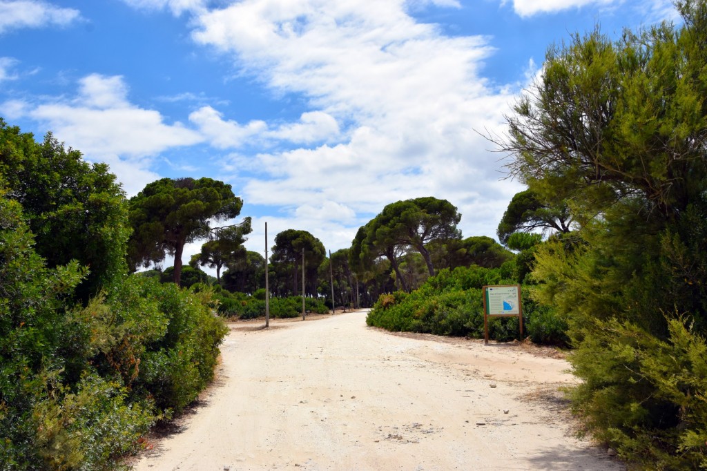 Foto de La Algaida (Cádiz), España