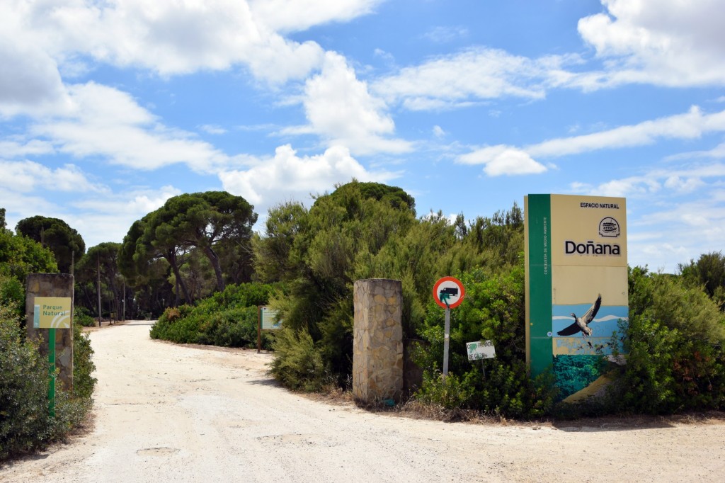 Foto de La Algaida (Cádiz), España
