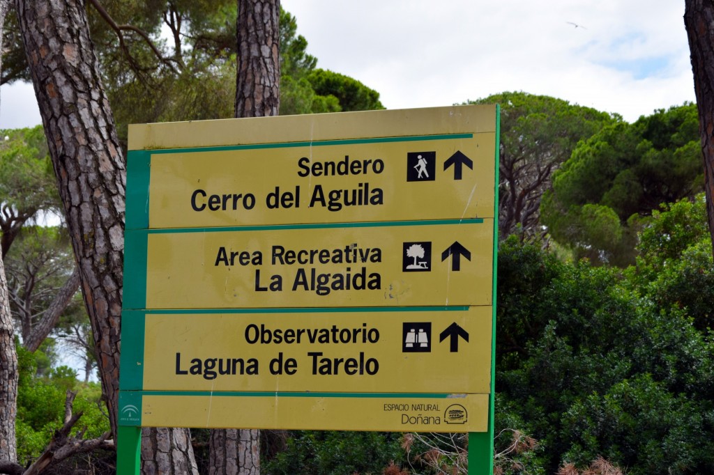 Foto de La Algaida (Cádiz), España