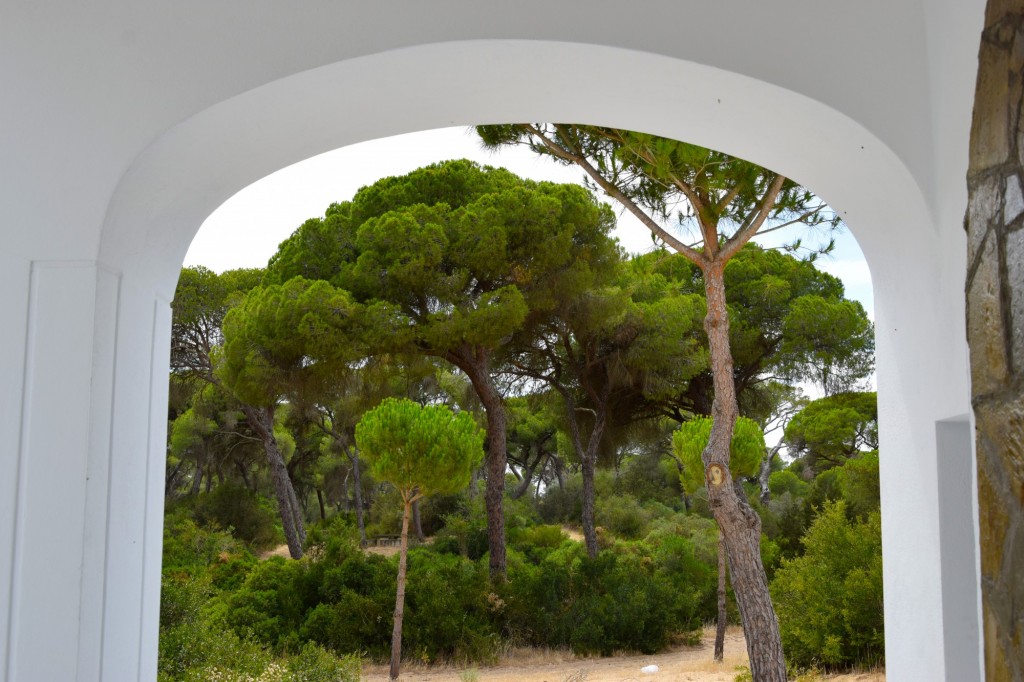 Foto de La Algaida (Cádiz), España