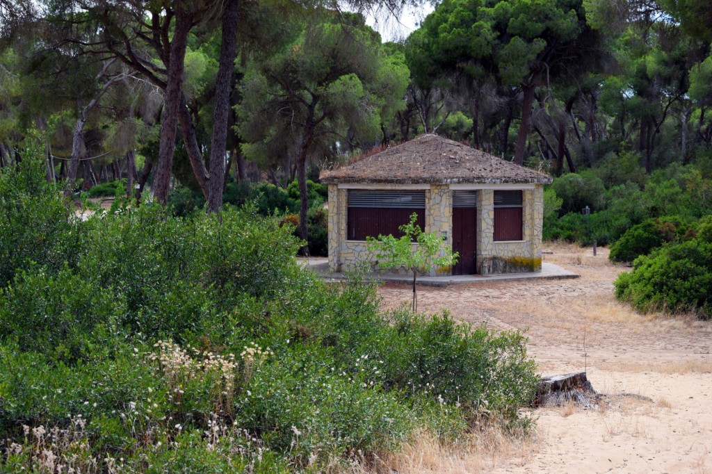 Foto de La Algaida (Cádiz), España