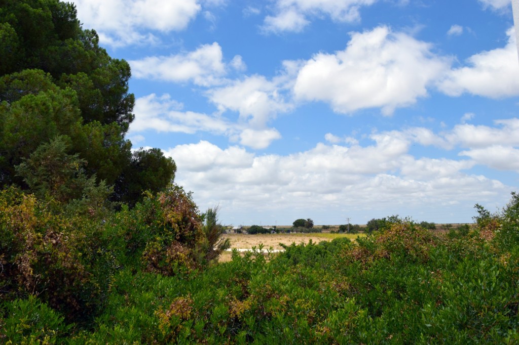 Foto de La Algaida (Cádiz), España