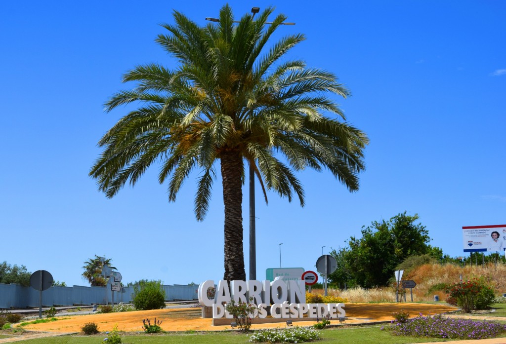 Foto de Carrión de los Céspedes (Sevilla), España