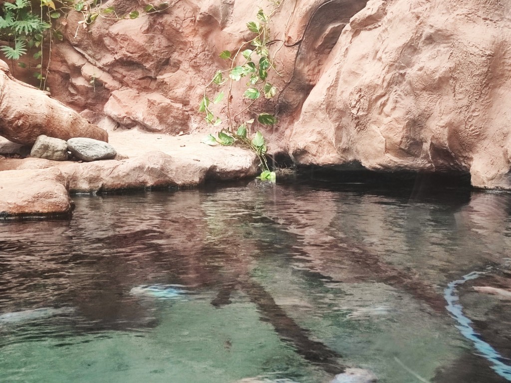 Foto: Acuario Poema del Mar - Las Palmas de Gran Canaria (Las Palmas), España