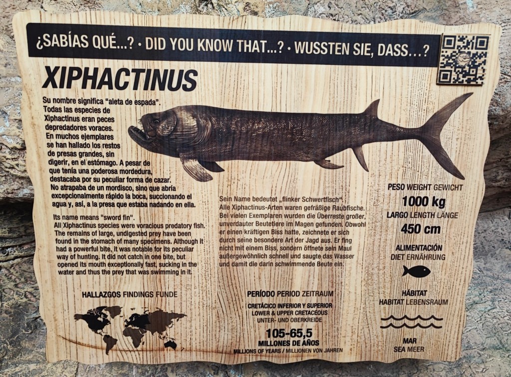 Foto: Acuario Poema del Mar - Las Palmas de Gran Canaria (Las Palmas), España