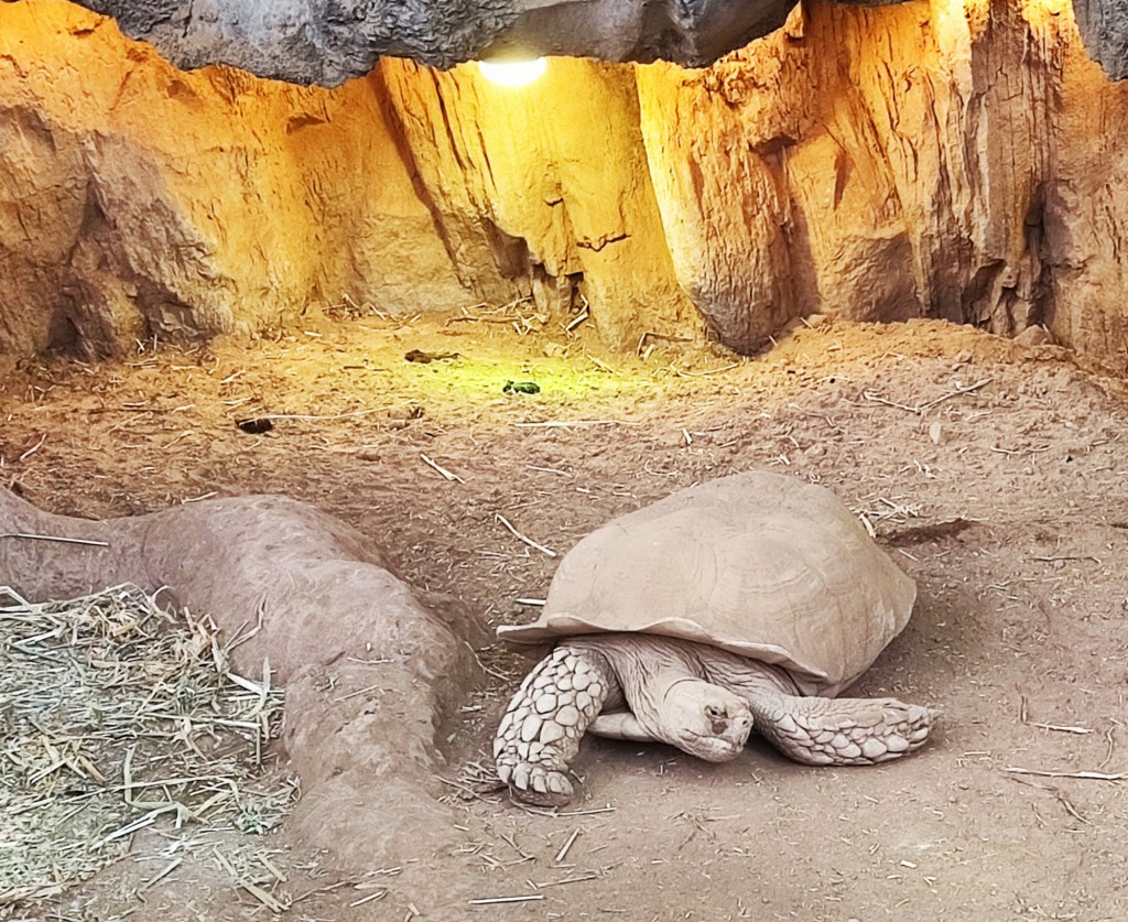 Foto: Acuario Poema del Mar - Las Palmas de Gran Canaria (Las Palmas), España