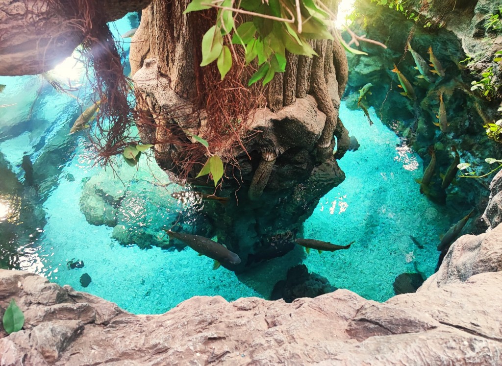 Foto: Acuario Poema del Mar - Las Palmas de Gran Canaria (Las Palmas), España
