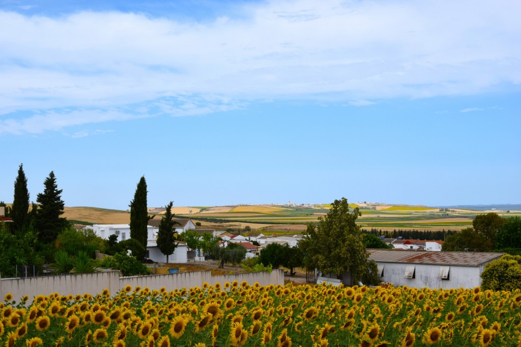 Foto de Castilleja del Campo (Sevilla), España