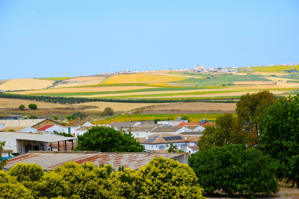 Foto de Castilleja del Campo (Sevilla), España