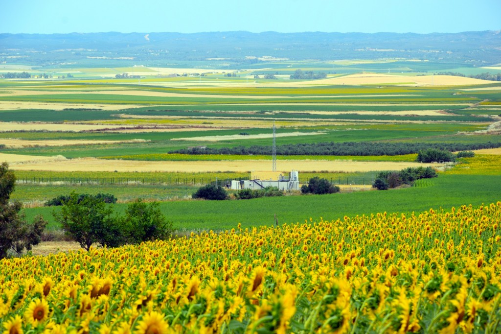 Foto de Castilleja del Campo (Sevilla), España