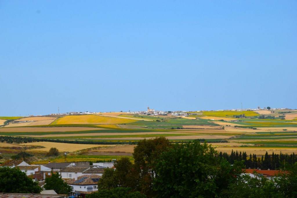 Foto: Vistas a Escacena del Campo - Castilleja del Campo (Sevilla), España