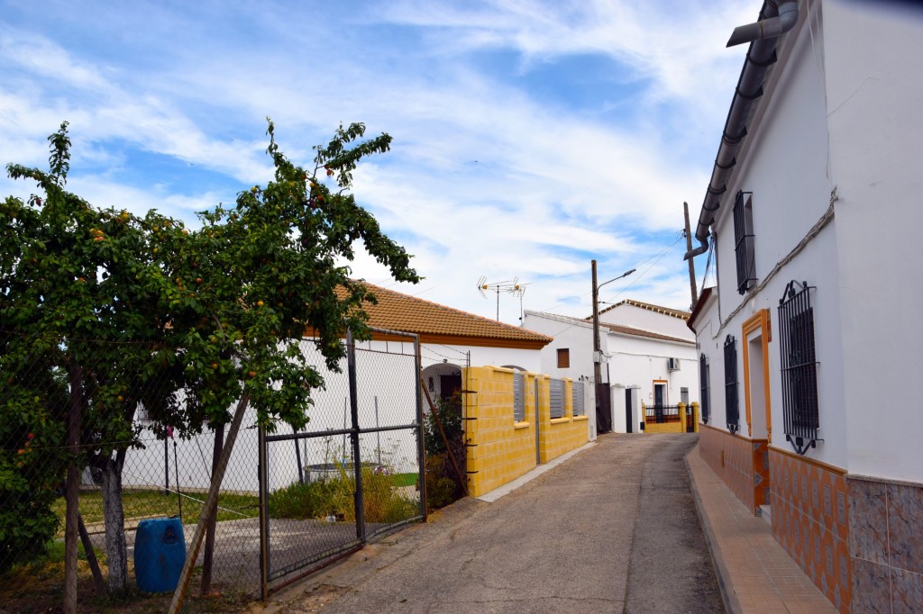 Foto: Calle Libertad - Castilleja del Campo (Sevilla), España