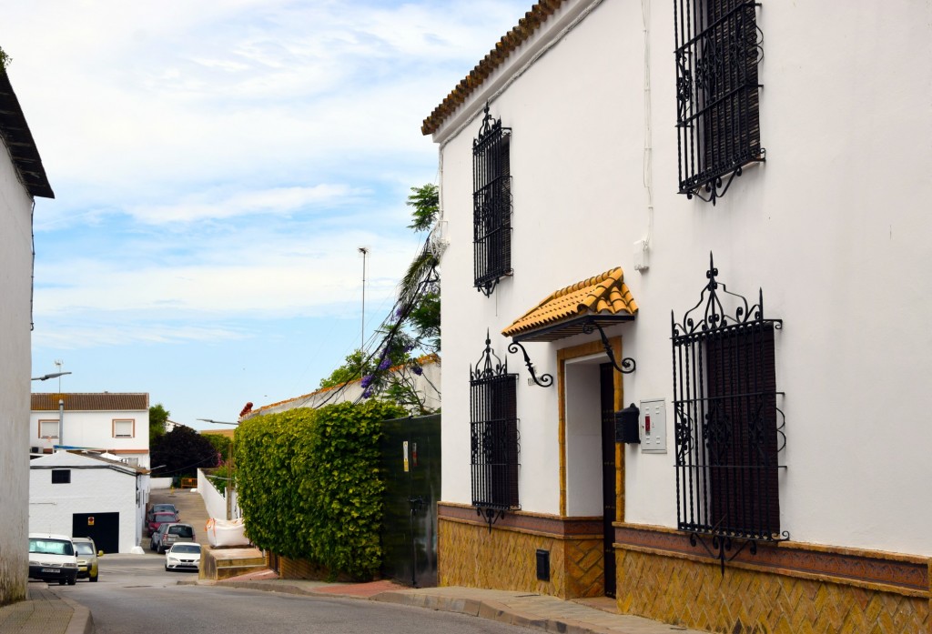 Foto: El Tinahón - Castilleja del Campo (Sevilla), España