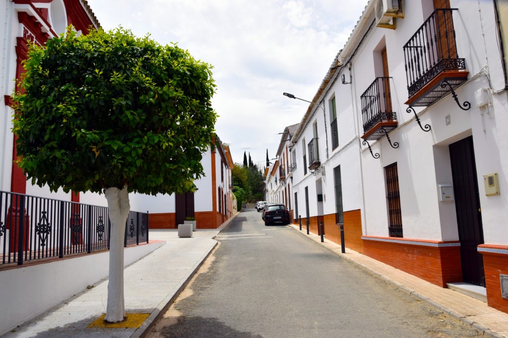 Foto: Calle Vicente Aleixander - Castilleja del Campo (Sevilla), España