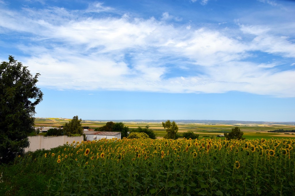 Foto de Castilleja del Campo (Sevilla), España