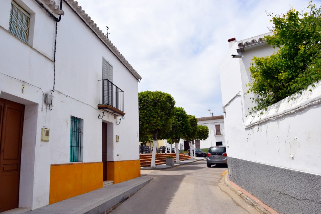 Foto: Venerable Manara - Castilleja del Campo (Sevilla), España
