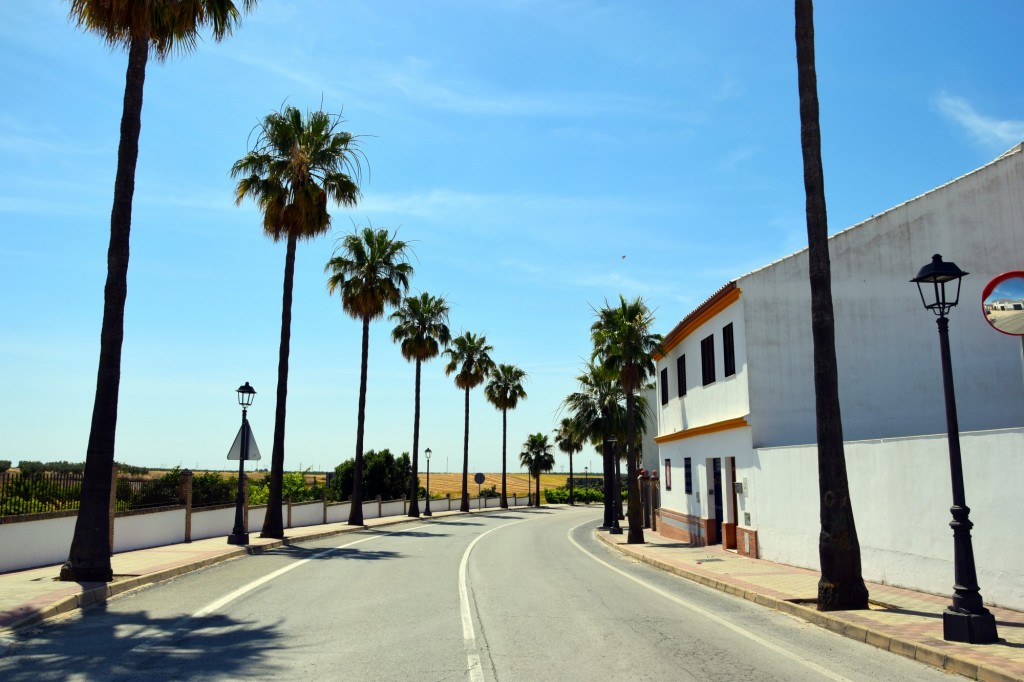 Foto: Avda. San Isidro Labrador - Chucena (Huelva), España