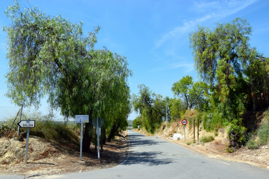 Foto: Camino de Almonte - Chucena (Huelva), España