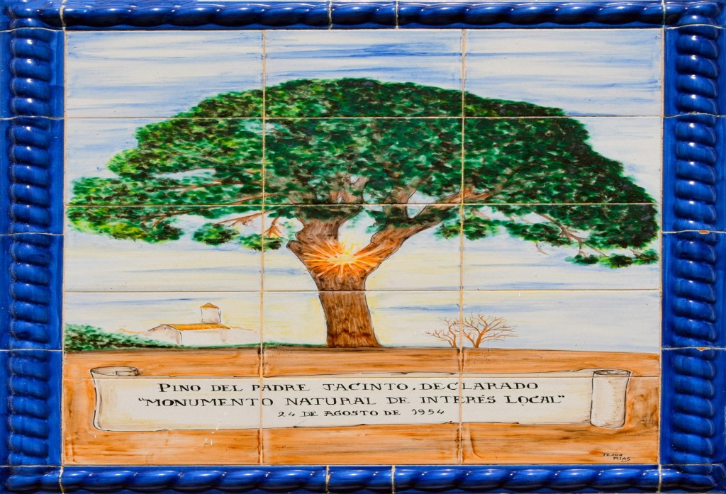 Foto: Pino del Padre Jacinto - Chucena (Huelva), España