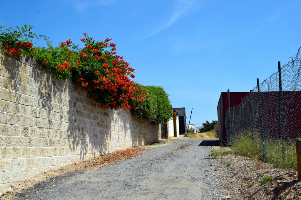 Foto de Chucena (Huelva), España