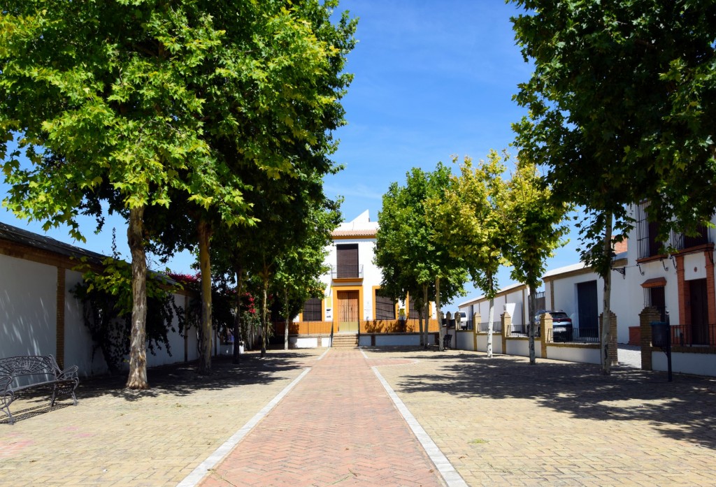 Foto: Los Chopos - Chucena (Huelva), España