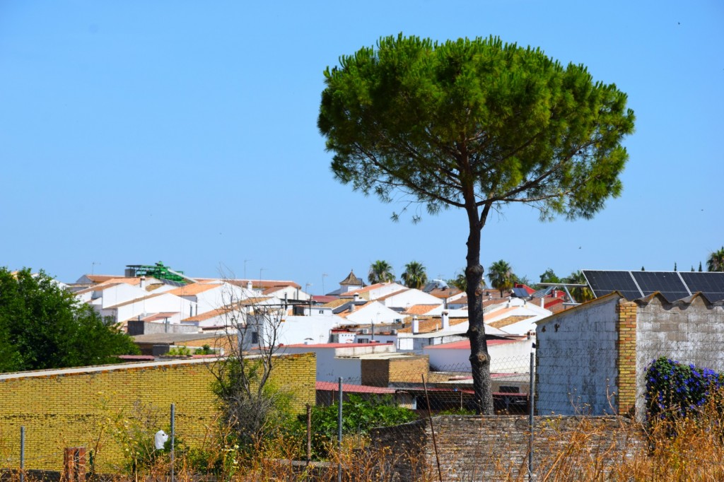 Foto de Chucena (Huelva), España