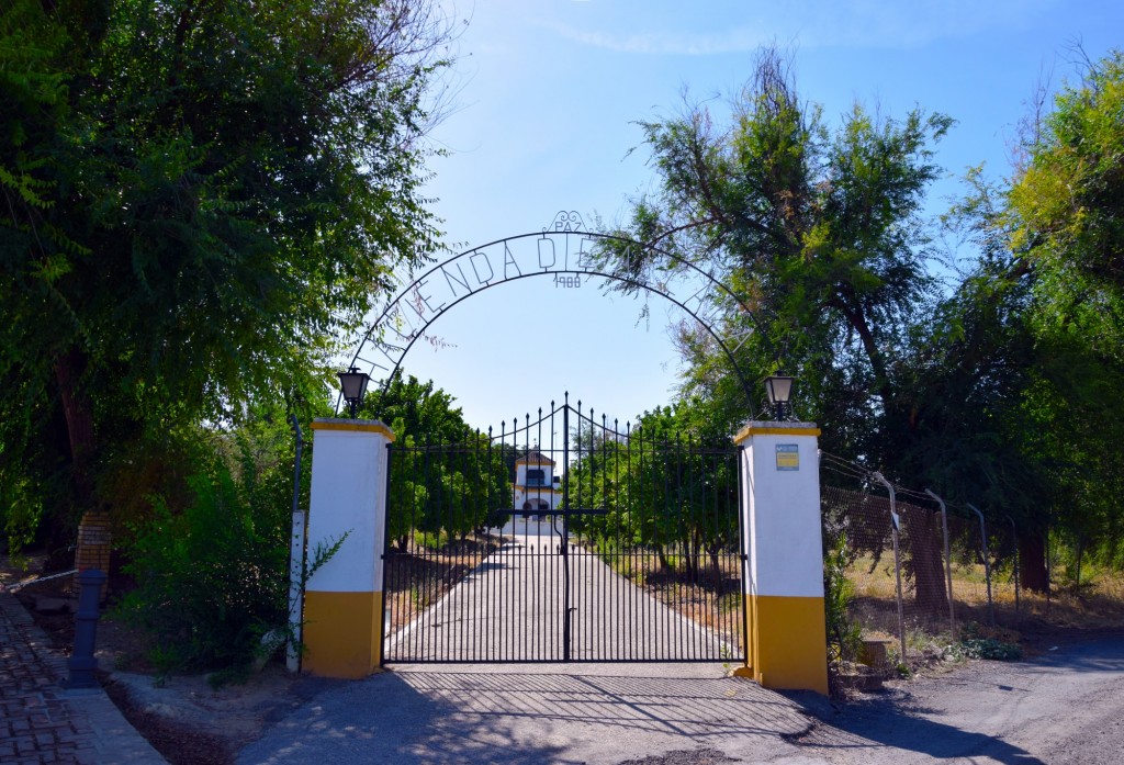 Foto: Hacienda de Alcalá - Chucena (Huelva), España