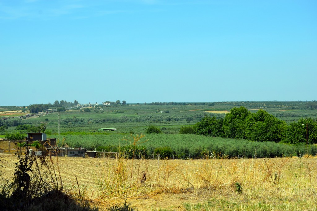 Foto de Chucena (Huelva), España