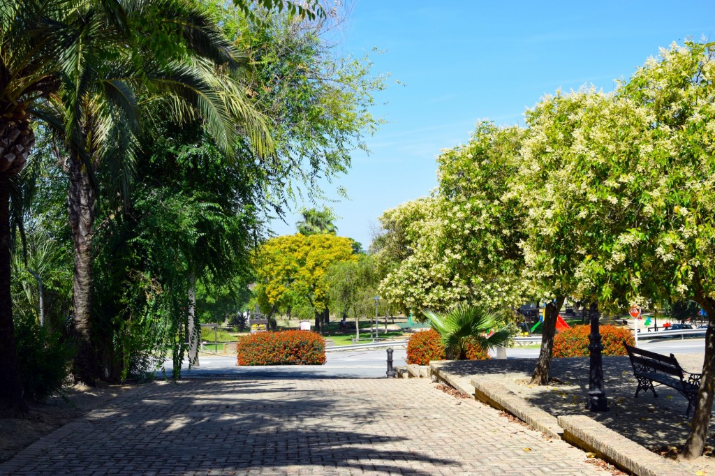 Foto de Chucena (Huelva), España
