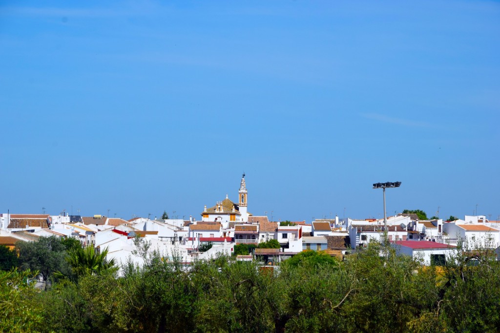 Foto: Panorámica de la población - Chucena (Huelva), España