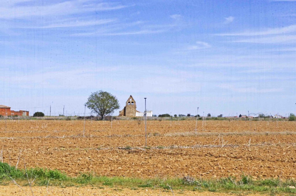 Foto: en la soledad del campo - Santa Cristina del Pàramo (León), España