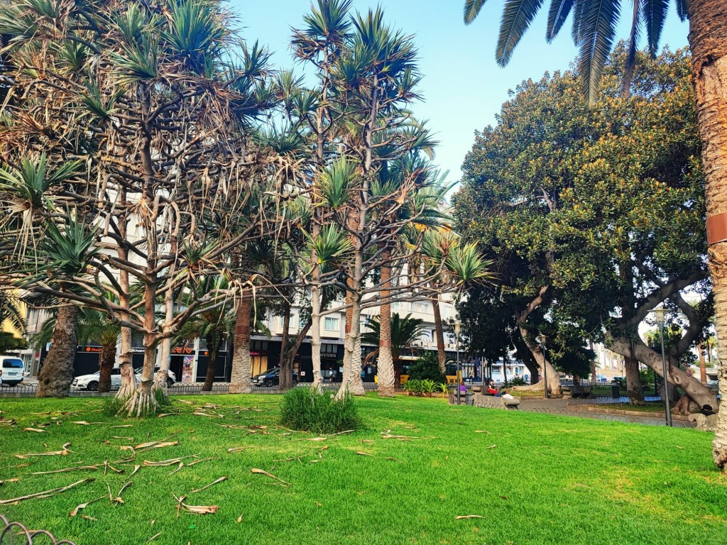 Foto: Parque de San Telmo - Las Palmas de Gran Canaria (Las Palmas), España