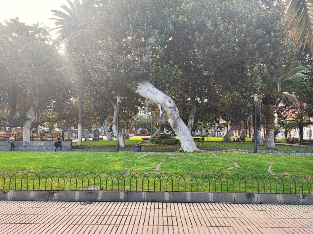 Foto: Parque de San Telmo - Las Palmas de Gran Canaria (Las Palmas), España