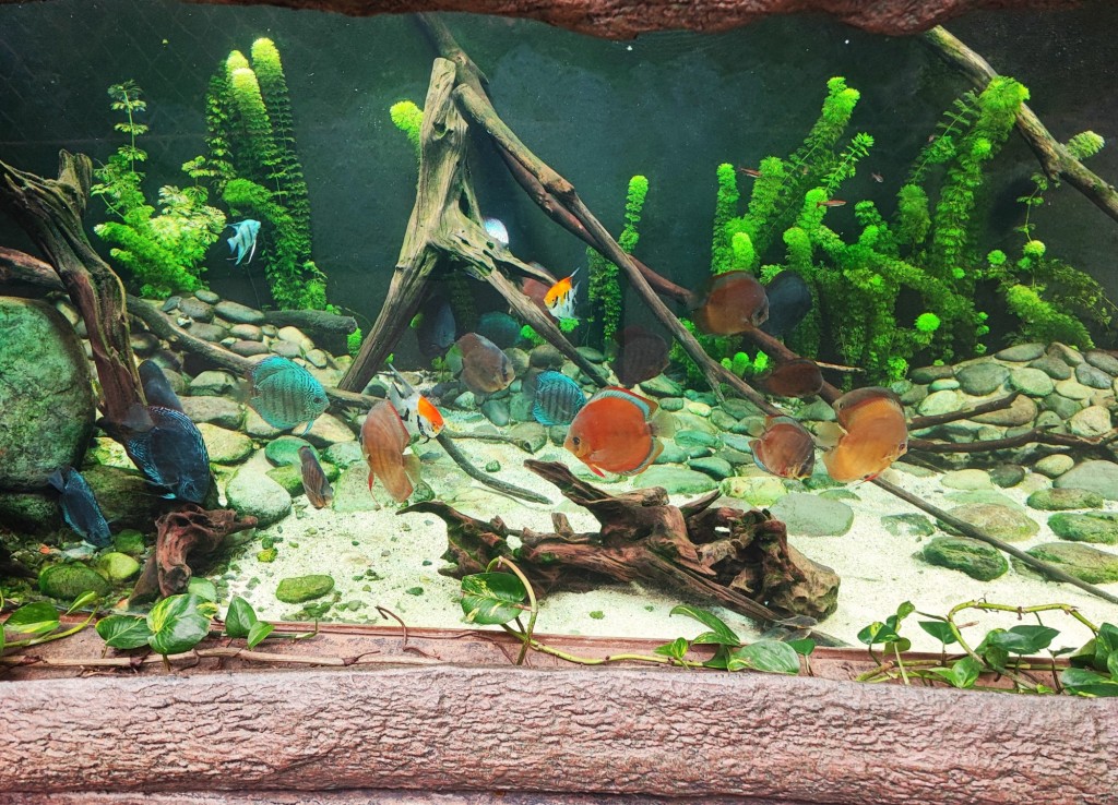 Foto: Acuario Poema del Mar - Las Palmas de Gran Canaria (Las Palmas), España