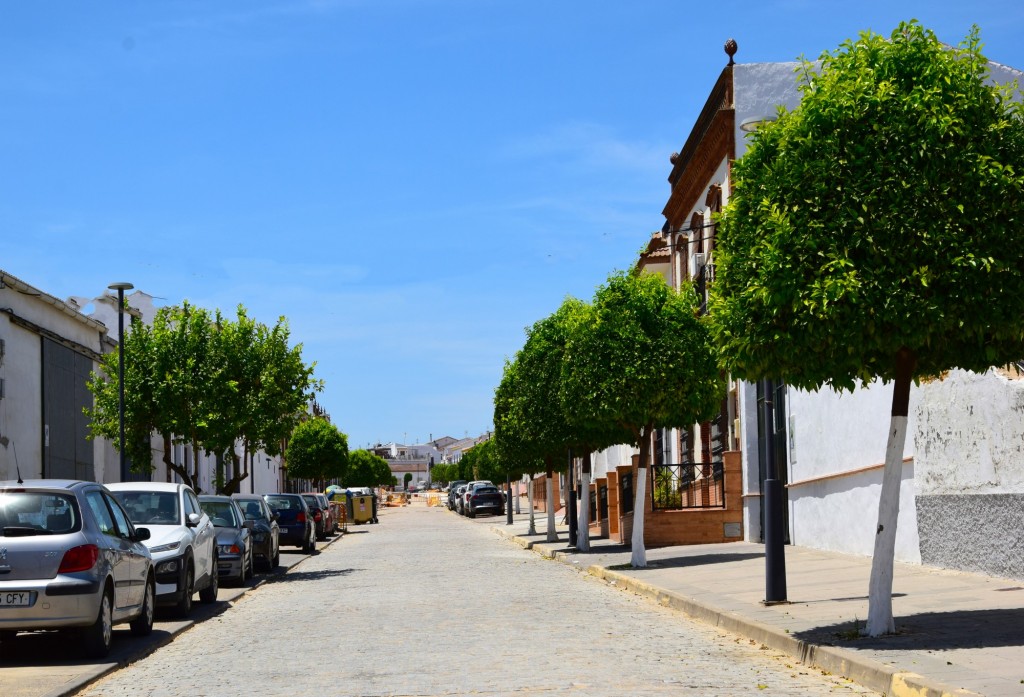 Foto: Calle Dominguez Garrido - Manzanilla (Huelva), España