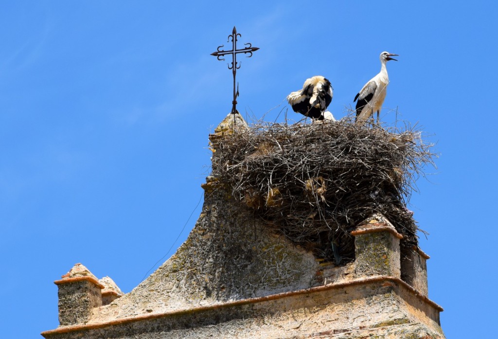 Foto de Manzanilla (Huelva), España