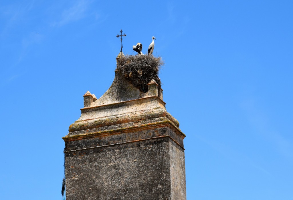 Foto de Manzanilla (Huelva), España
