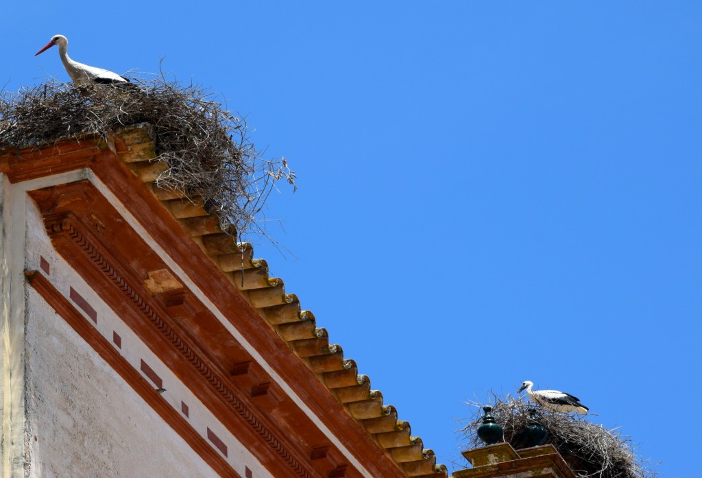 Foto de Manzanilla (Huelva), España