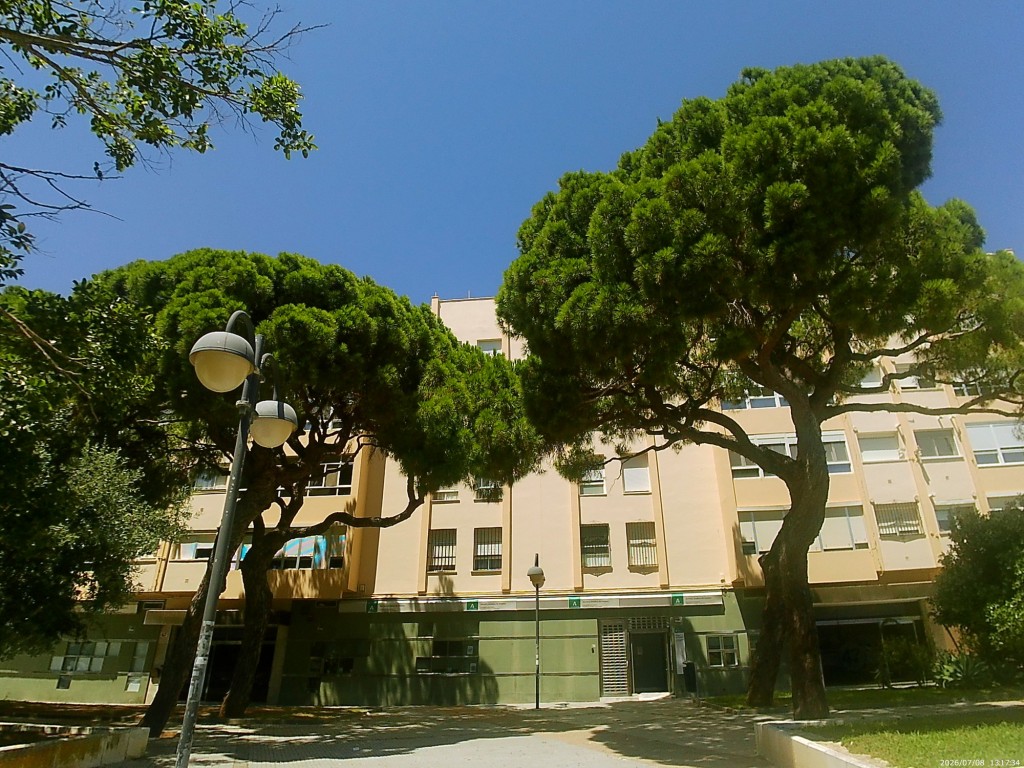Foto: Oficina de Empleos - Cádiz (Andalucía), España