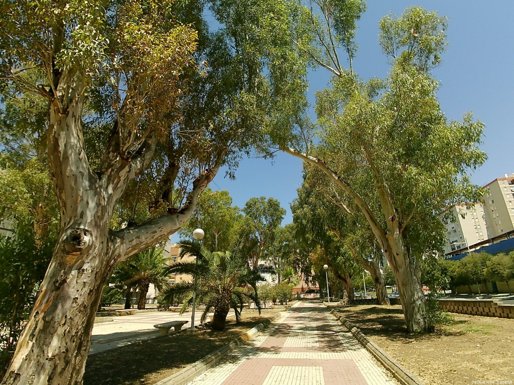 Foto: Parque de los Ingleses - Cádiz (Andalucía), España