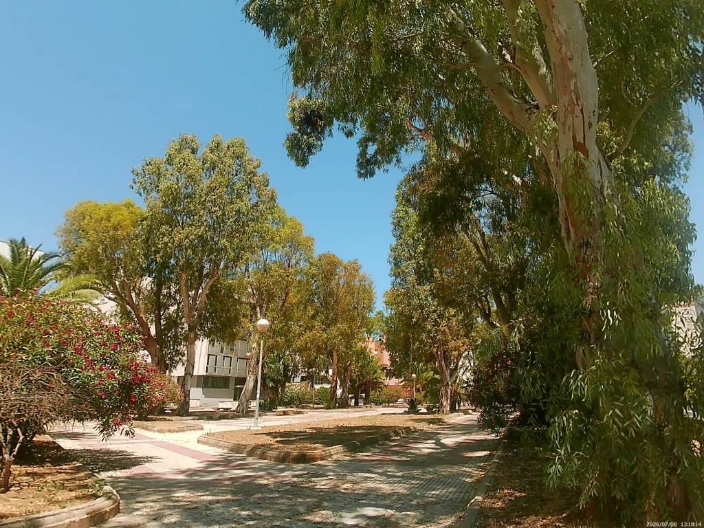 Foto: Cementerio de los Ingleses - Cádiz (Andalucía), España