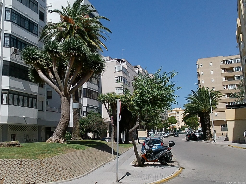Foto: Calle Madres Capuchinas - San Fernando (Cádiz), España
