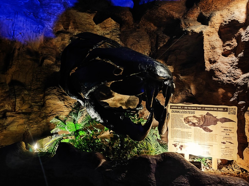 Foto: Acuario Poema del Mar - Las Palmas de Gran Canaria (Las Palmas), España