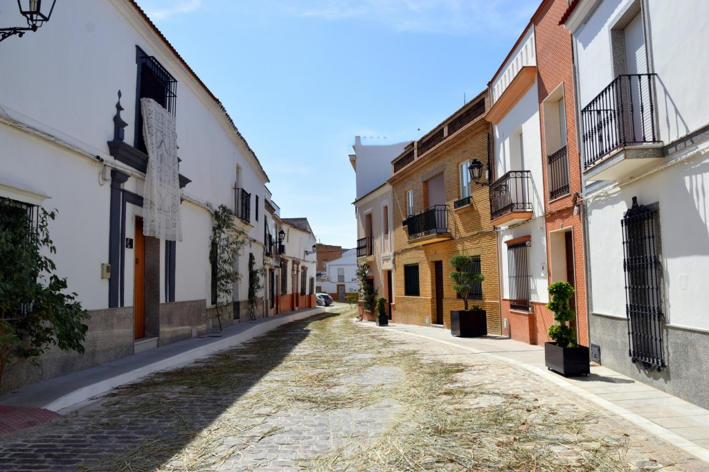 Foto: Calle Mesón - Escacena del Campo (Huelva), España
