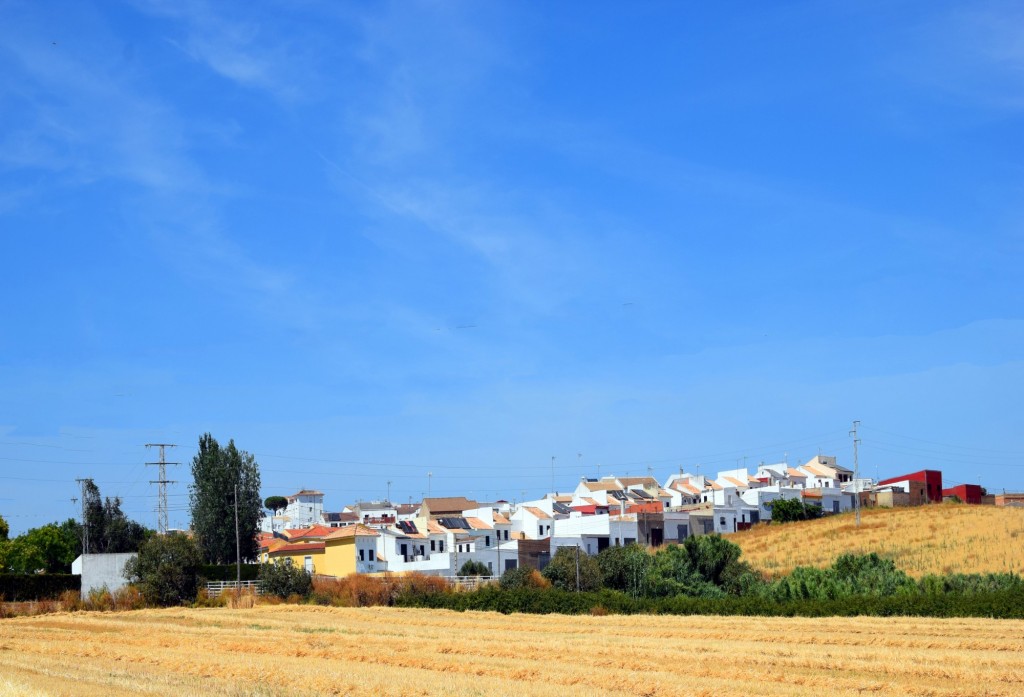 Foto: Panorámica de la localidad - Escacena del Campo (Huelva), España